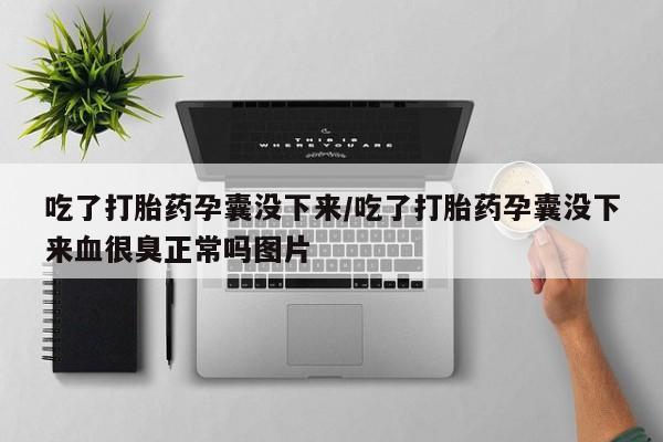 流产药如何购买吃了打胎药孕囊没下来/吃了打胎药孕囊没下来血很臭正常吗图片